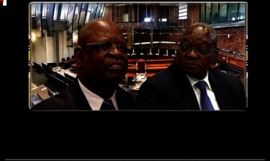 All equal before law, but Zuma requires a special dispensation, says Concourt